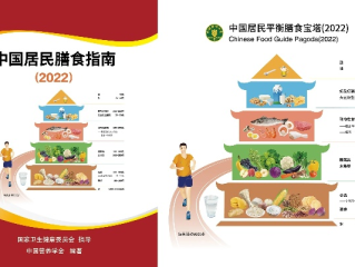 健康导向，国家引领的饮食新风尚