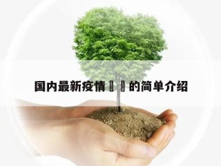 国内最新疫情㊙️的简单介绍