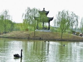 西湖畔的神秘青蛇，人与自然的奇妙邂逅
