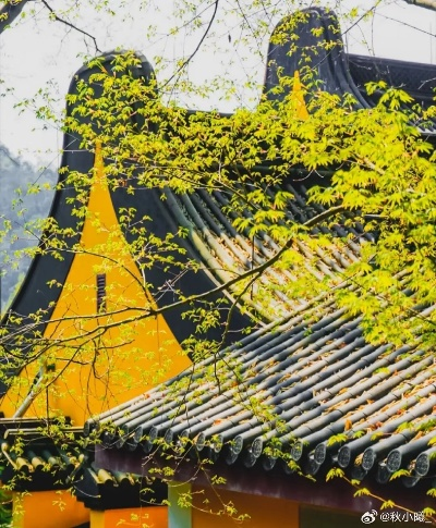 灵隐寺，古韵新风，别样画风