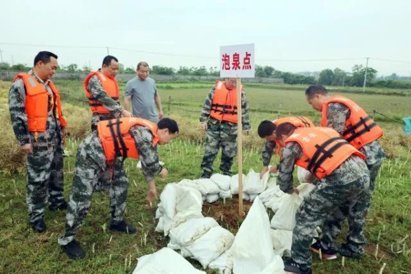 共筑安全防线，共度平安之夏，全面应对汛期挑战